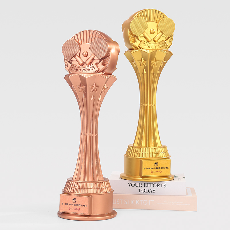 Customized 49CM Table Tennis R - огляд і ціна Table Tennis Usa Team
