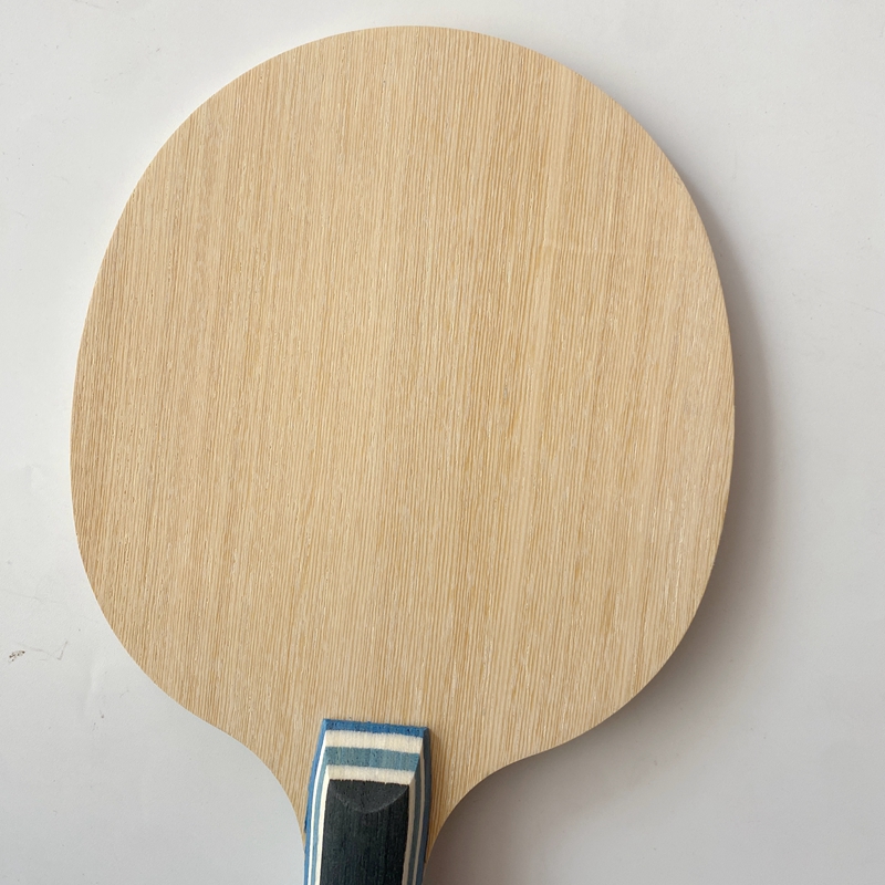 Lemuria VIS Carbon Fiber Table - огляд і ціна Table Tennis Viscaria