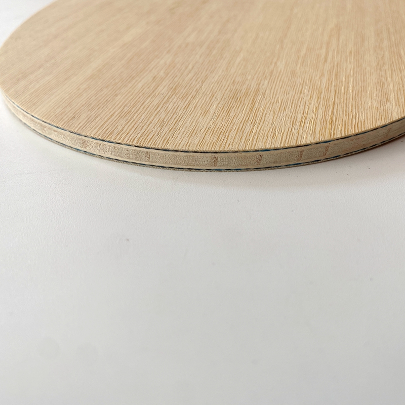 Lemuria VIS Carbon Fiber Table - огляд і ціна Table Tennis Viscaria